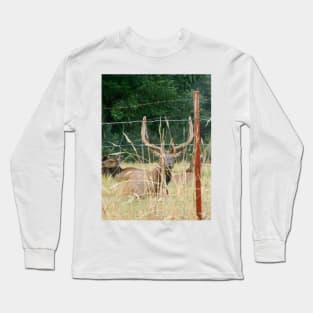 Elk With Antlers Behind Fence Nature Photography Long Sleeve T-Shirt